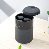 Bluetooth speaker with earbuds